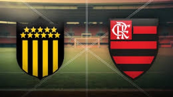 PENAROL× FLAMENGO